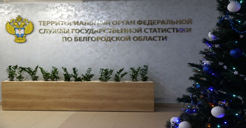 Белгородстат отметил 66-ую годовщину со дня образования